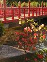 Another bridge in the Garden.